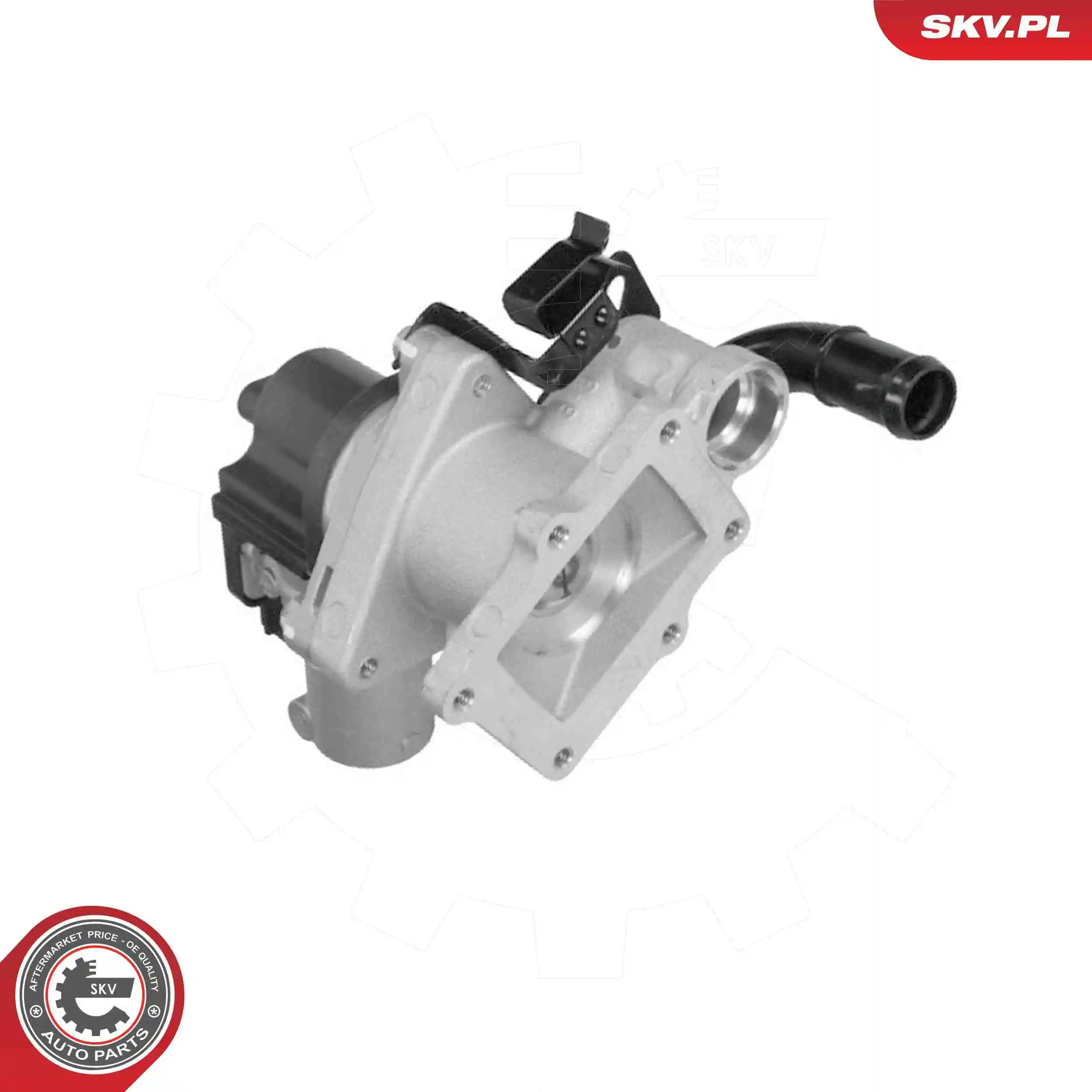 EGR Valve
